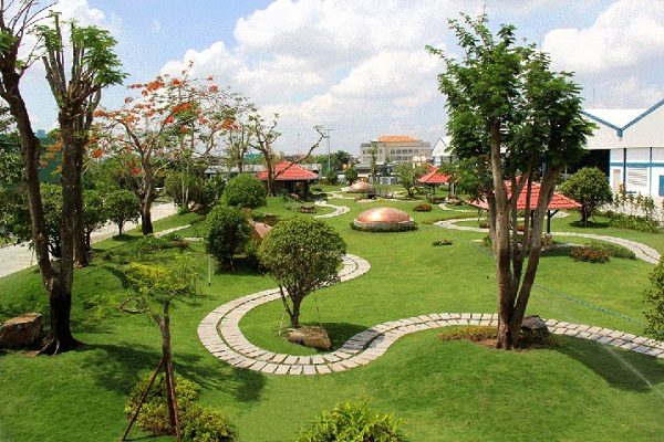 Báo giá cây xanh công trình tại Hà Nội đầy đủ và chi tiết